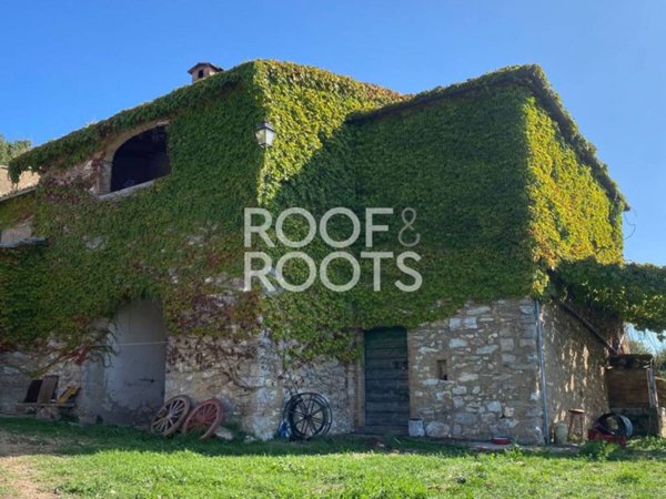 casa indipendente in vendita a Sovicille