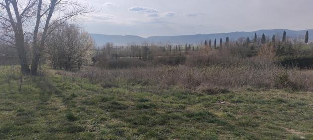 terreno agricolo in vendita a Sovicille in zona San Rocco a Pilli