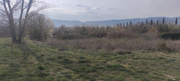 terreno agricolo in vendita a Sovicille