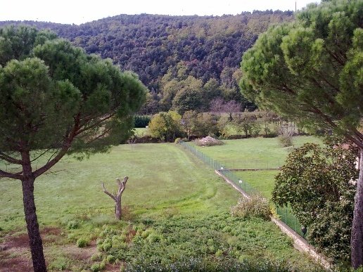 appartamento in vendita a Sovicille in zona Rosia