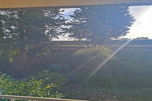 appartamento in vendita a Sovicille