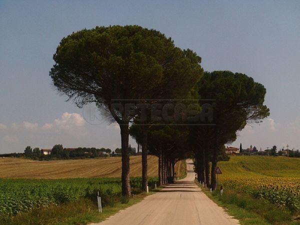 casa indipendente in vendita a Sovicille in zona San Rocco a Pilli