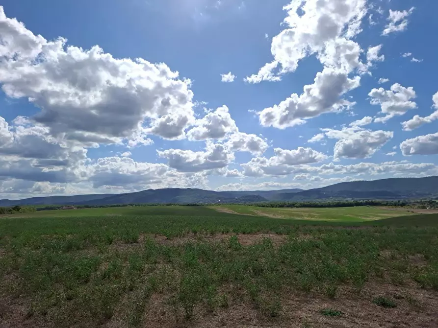 terreno agricolo in vendita a Sovicille
