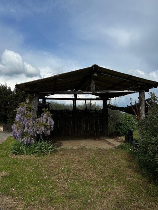 terreno agricolo in vendita a Sovicille