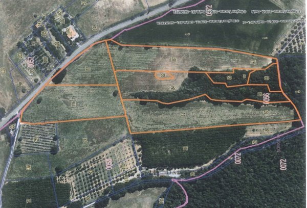 terreno agricolo in vendita a Sovicille