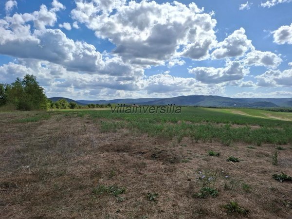 terreno agricolo in vendita a Sovicille