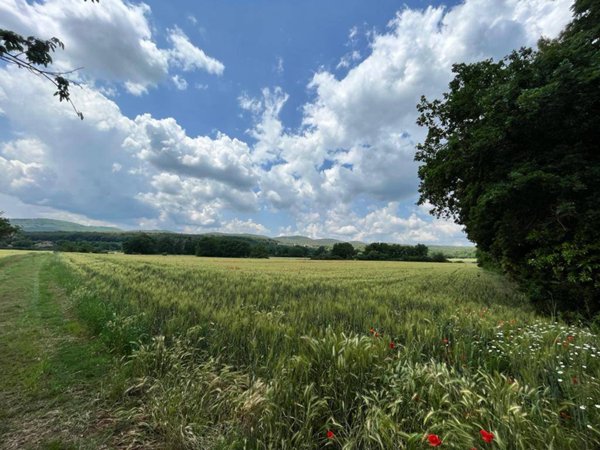 locale di sgombero in vendita a Sovicille