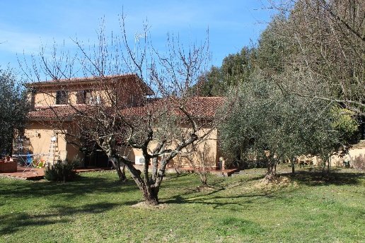 casa indipendente in vendita a Sovicille