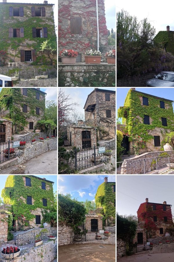 casale in vendita a Sovicille