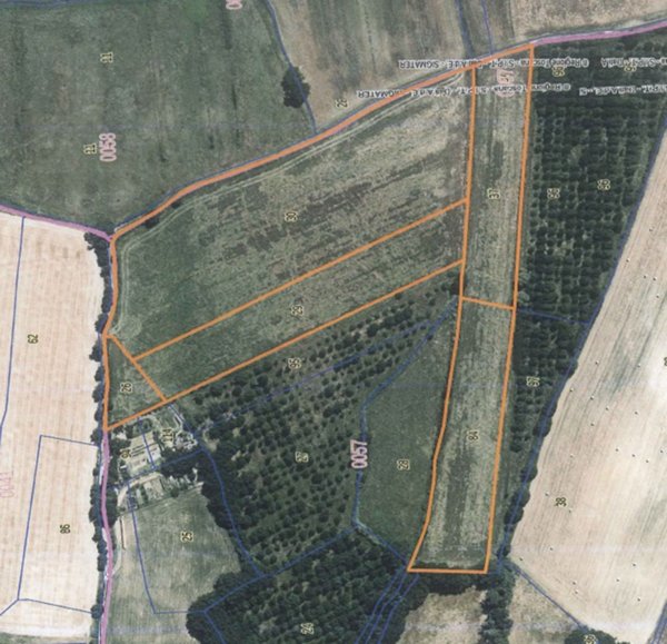 terreno agricolo in vendita a Sovicille