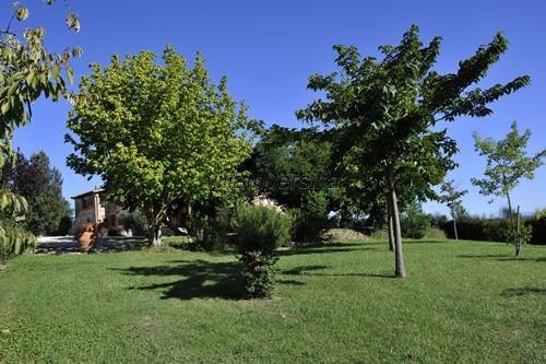 casa indipendente in vendita a Sovicille