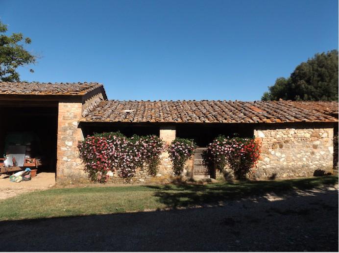 negozio in vendita a Sovicille