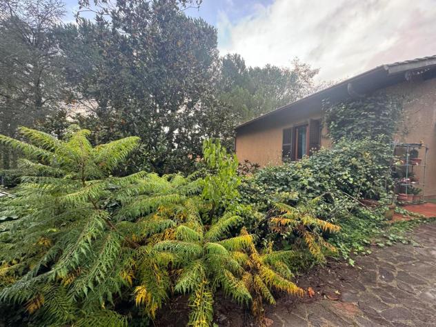 casa indipendente in vendita a Sovicille
