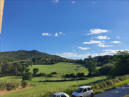 appartamento in vendita a Sovicille