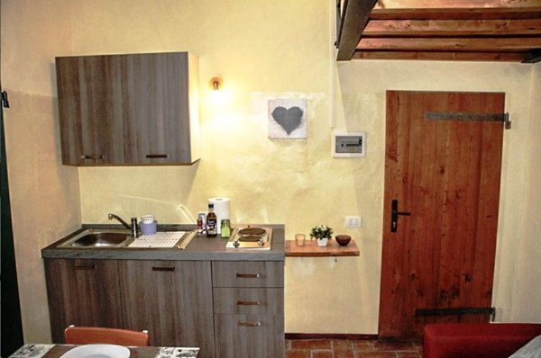 appartamento in vendita a Sovicille