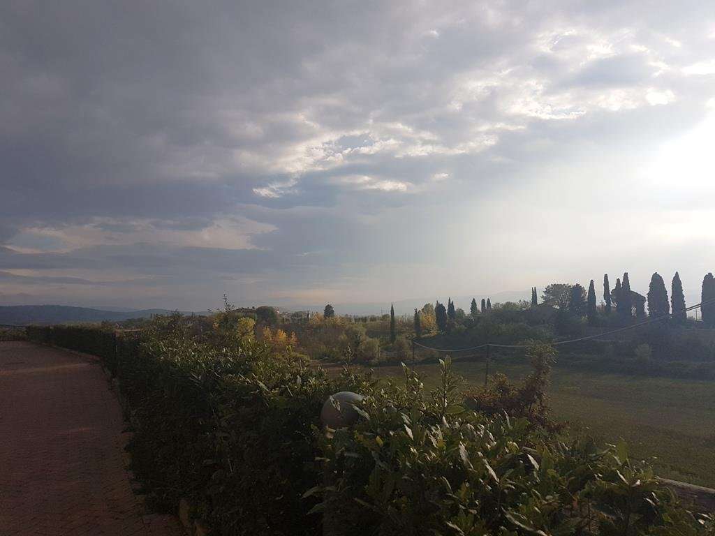 appartamento in vendita a Sovicille