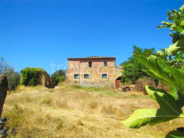 terreno agricolo in vendita a Torrita di Siena in zona Montefollonico