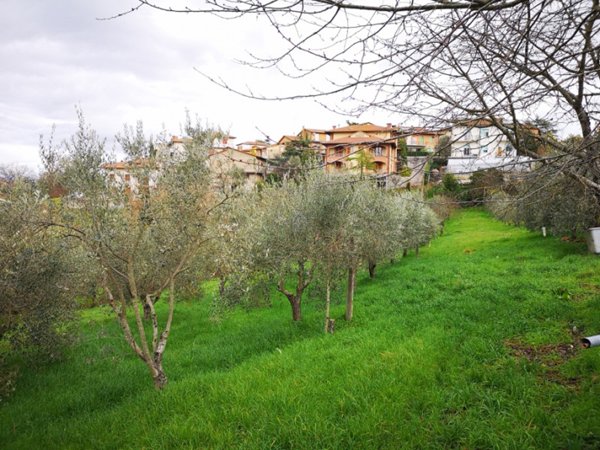 terreno edificabile in vendita a Torrita di Siena