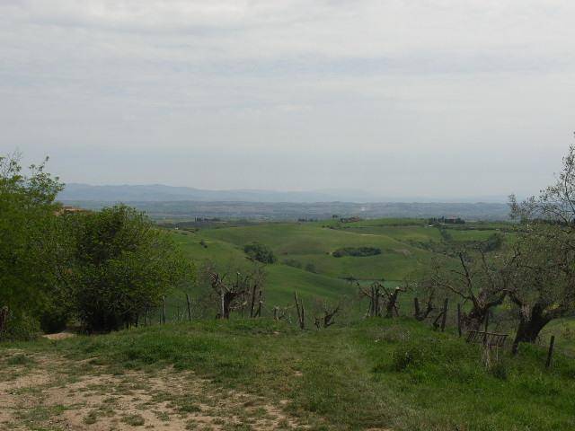 casa indipendente in vendita a Torrita di Siena