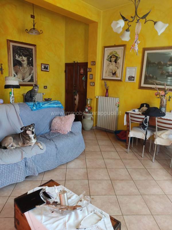 appartamento in vendita a Torrita di Siena