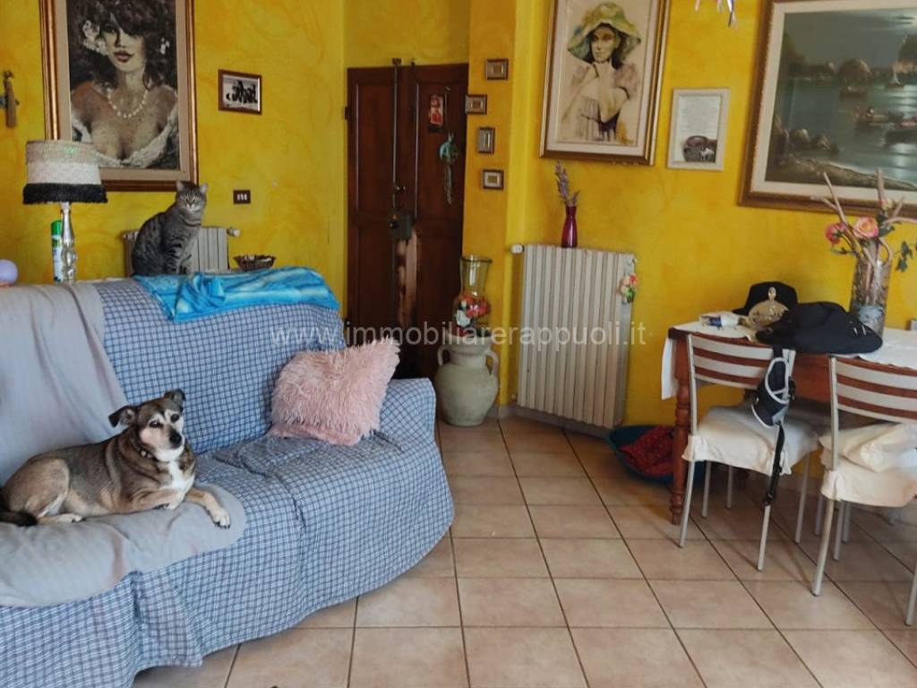 appartamento in vendita a Torrita di Siena