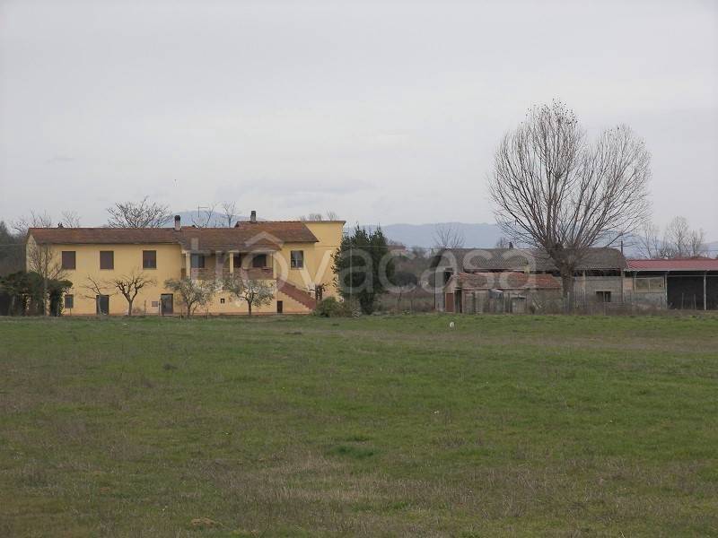 azienda agricola in vendita a Torrita di Siena