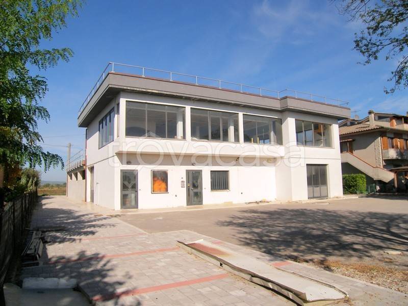 appartamento in vendita a Torrita di Siena