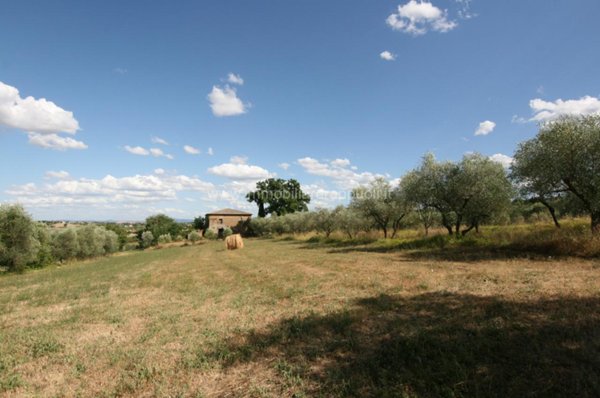 casa indipendente in vendita a Torrita di Siena