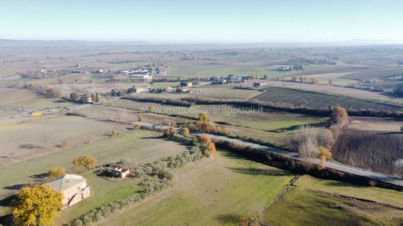 casa indipendente in vendita a Torrita di Siena