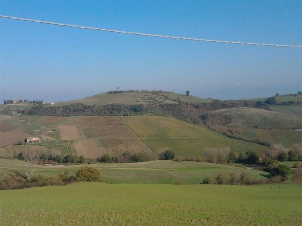 terreno agricolo in vendita a Torrita di Siena in zona Montefollonico