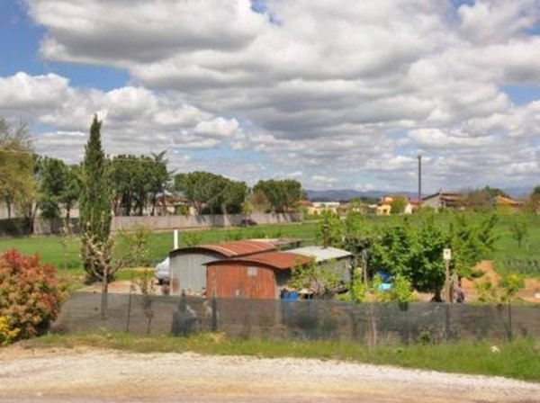 terreno agricolo in vendita a Torrita di Siena