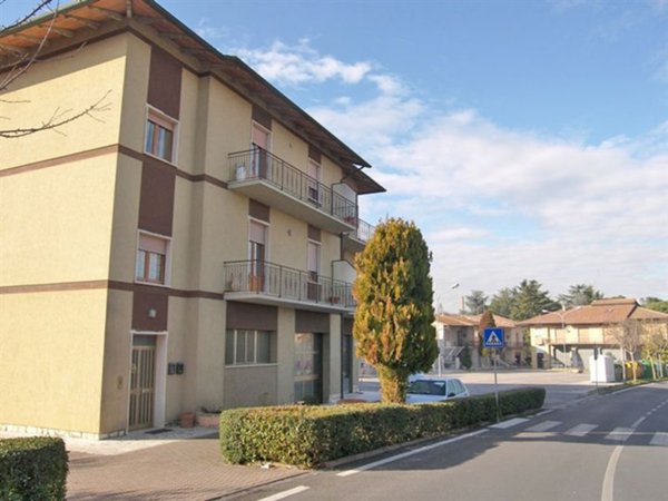 negozio in vendita a Torrita di Siena