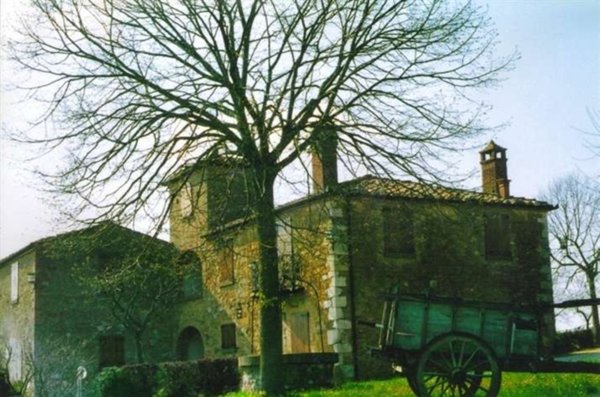 appartamento in vendita a Torrita di Siena