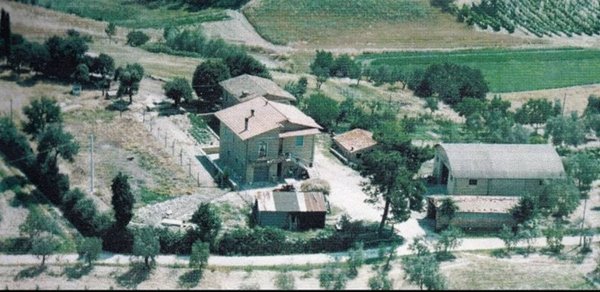 azienda agricola in vendita a Torrita di Siena