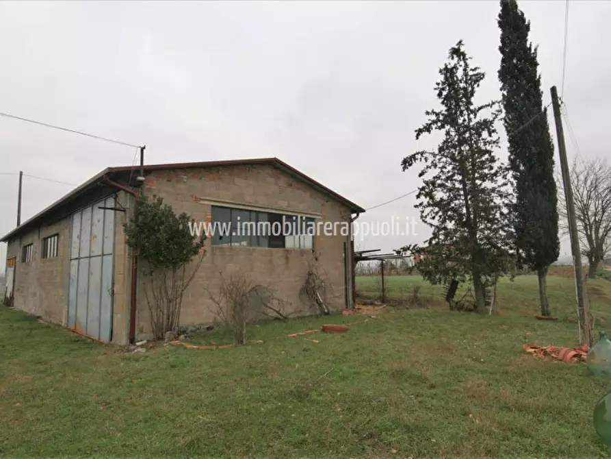 casa indipendente in vendita a Torrita di Siena