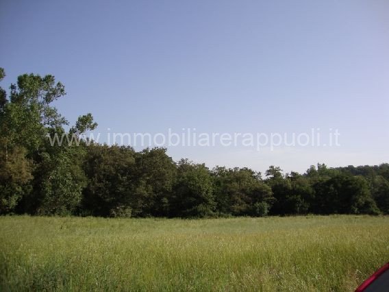 casa indipendente in vendita a Torrita di Siena