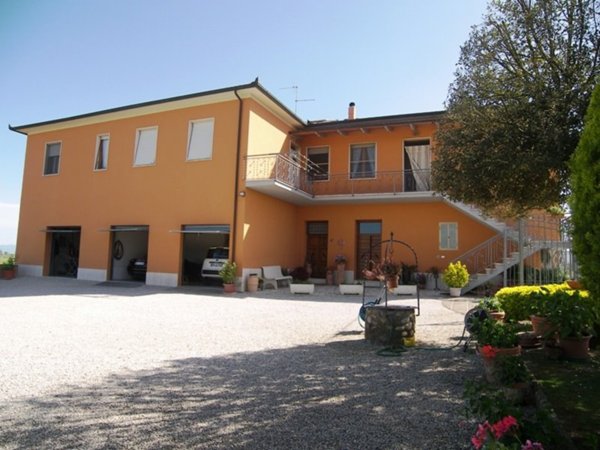 azienda agricola in vendita a Torrita di Siena