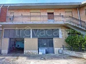 negozio in vendita a Torrita di Siena