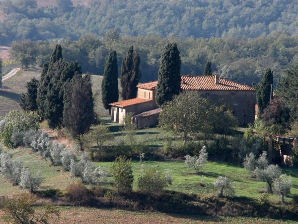 casa indipendente in vendita a Torrita di Siena in zona Montefollonico