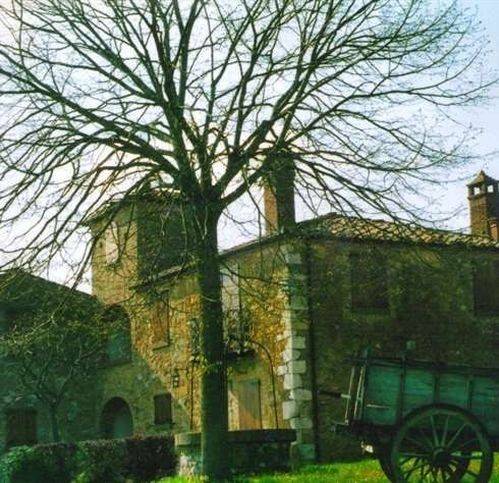 appartamento in vendita a Torrita di Siena