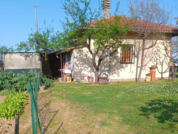 terreno agricolo in vendita a Torrita di Siena