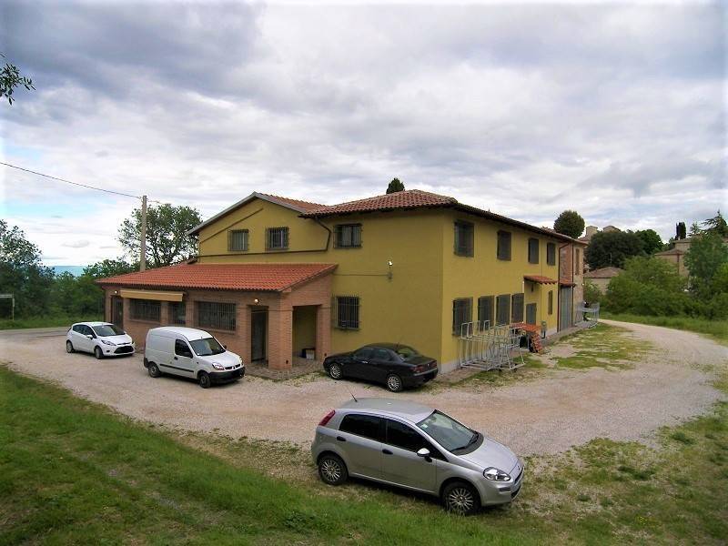 negozio in vendita a Torrita di Siena in zona Montefollonico