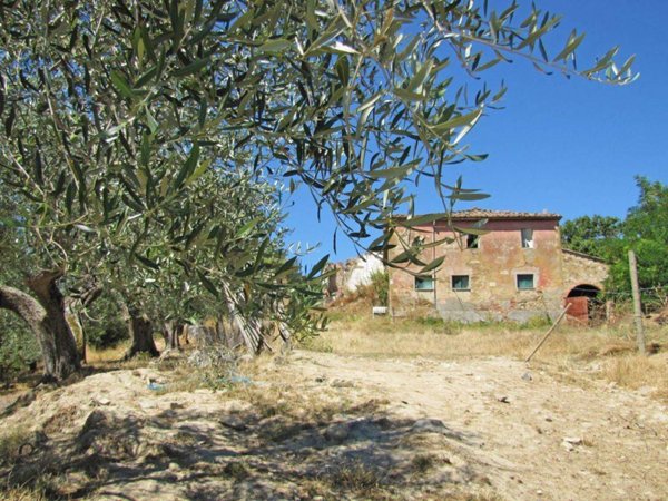 casa indipendente in vendita a Torrita di Siena in zona Montefollonico