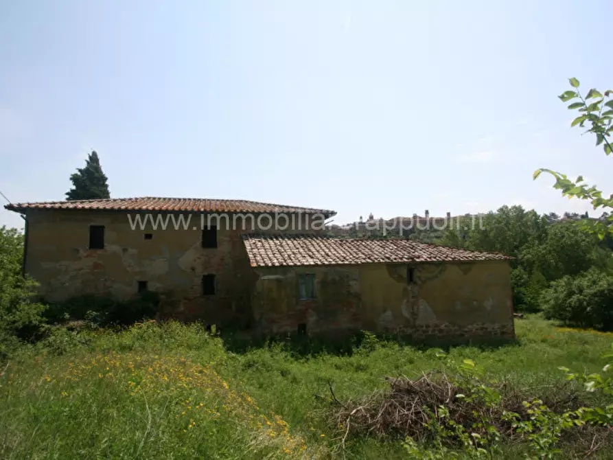 casa indipendente in vendita a Torrita di Siena