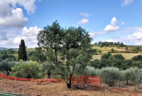 terreno edificabile in vendita a Torrita di Siena