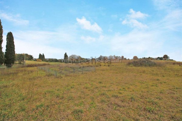 terreno agricolo in vendita a Torrita di Siena