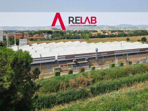 capannone in vendita a Torrita di Siena