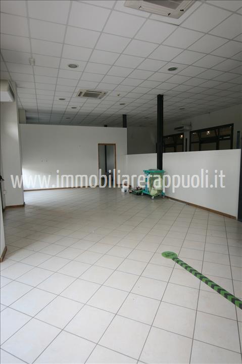 immagine annuncio 0 di 5