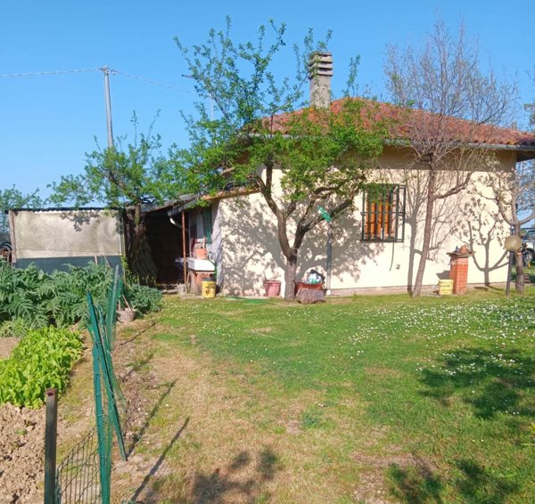 terreno agricolo in vendita a Torrita di Siena