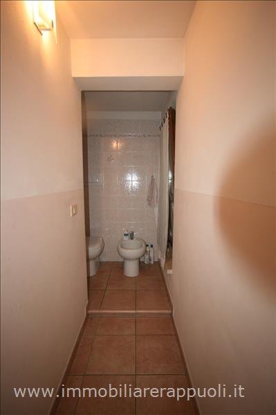 casa indipendente in vendita a Torrita di Siena